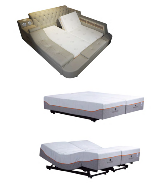 GIƯỜNG NGỦ ĐIỀU CHỈNH BẰNG ĐIỆN R1320